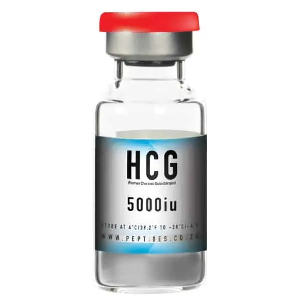 HCG (Human Chorionic Gonadotropin)