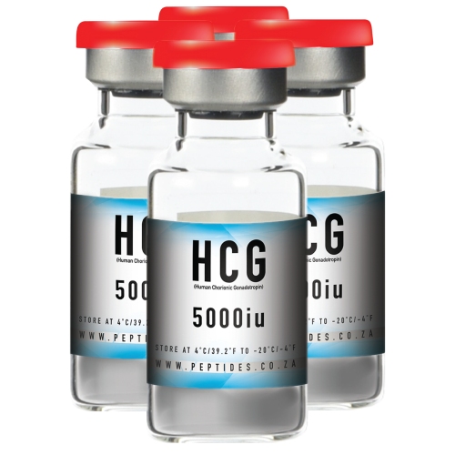 20000iu HCG Peptide Supplement – R1200 Ex Delivery